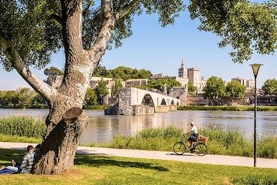 Bords de Rhône en face du Pont Saint-Benezet - Avignon - Vaucluse - France