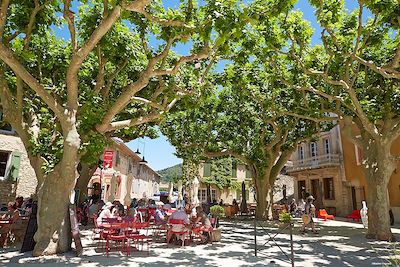 Maussane-les-Alpilles - Provence - France