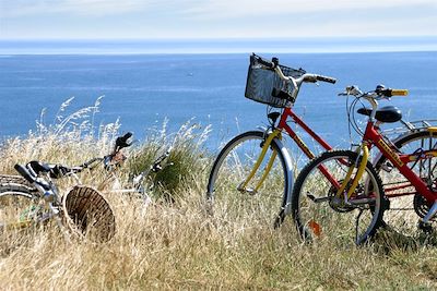 © Morbihan tourisme - Marc Schaffner - Rando vélo sentier côtier - Golfe du Morbihan - Bretagne - France Rando vélo sentier côtier - Golfe du Morbihan - Bretagne - France