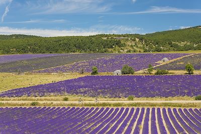 Voyage Drôme et Ardèche à vélo, la Biovallée en famille 3