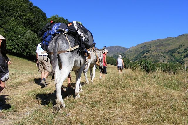 Voyage randonnée avec âne Pyrénées | Vacances randonnée avec âne Pyrénées