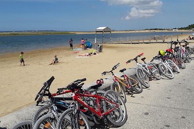 Circuit à vélo entre Royan et l'île d'Oléron - France
