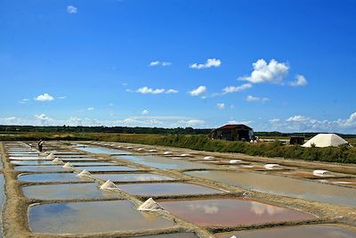 Vélodyssée - Marais - Île d'Olonne - France