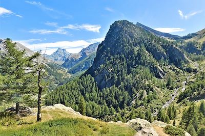 Vue sur le Mont Viso - Queyras - Hautes-Alpes - France