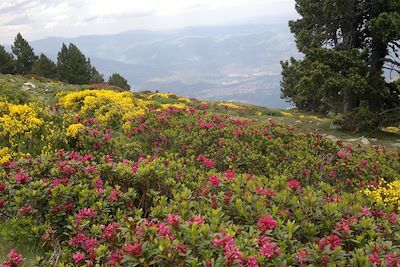 Le Canigou - Grande traversée des Pyrénées - France