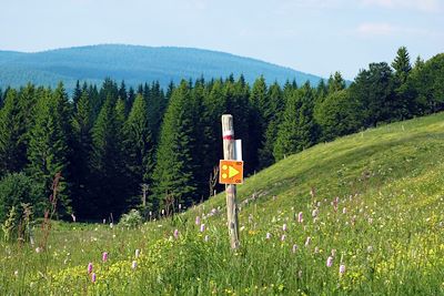 Panneau GTJ - France