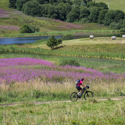 VTT / Gravel France Autres régions