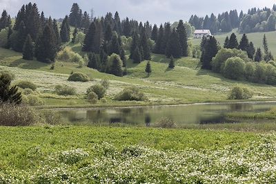 © jef 77 / Adobe Stock - Hautes Combes - Jura - France Hautes Combes - Jura - France