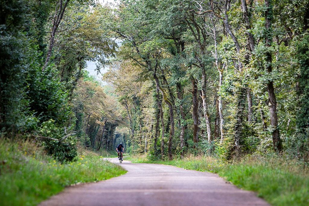 Image Le Jura en VTT - La Grande traversée du Jura