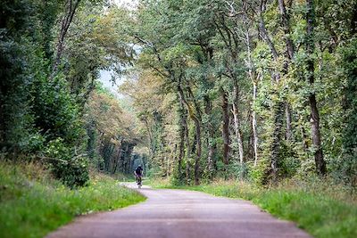 © anton havelaar / Alamy / Hemis - Cycliste - Jura - France Cycliste - Jura - France