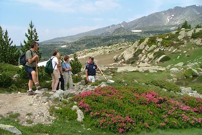 Cerdagne - Pyrénées Orientales - Languedoc Roussillon - France