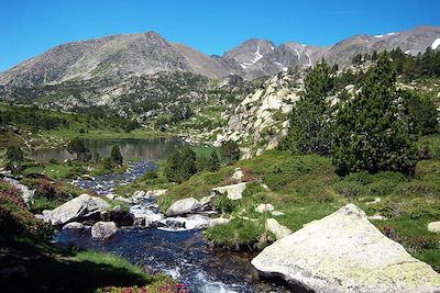 Découverte des lacs et forêts du Capcir