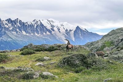 Lac Blanc - Chamonix-Mont-Blanc - France