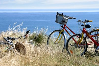 Voyage Vélo en famille au Morbihan, entre nature et océan 1