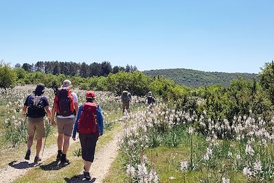 Voyage Le tour du Larzac, découverte intimiste 3