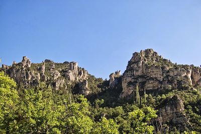 Corniche du Causse - Larzac - Massif central - France