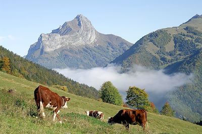 Mont Trelod - Massif des Bauges - Savoie - France
