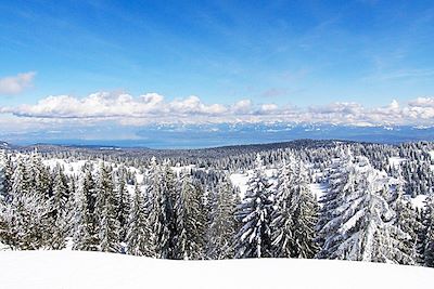 Forêt du massif jurassien - Jura - France