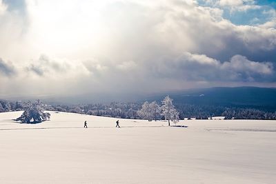 Randonnée en raquettes dans le Jura - France