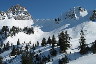 Raquette Alpes du Nord