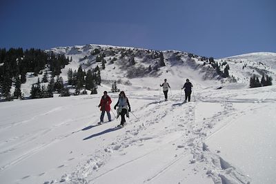 Morgins - Valais - Chablais - Suisse