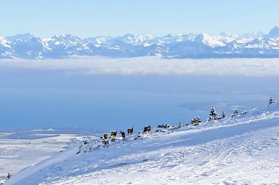 Vue sur le Lac Léman et les Alpes - Jura - France