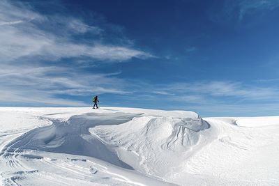 Voyage Les loups des hauts plateaux du Vercors 2