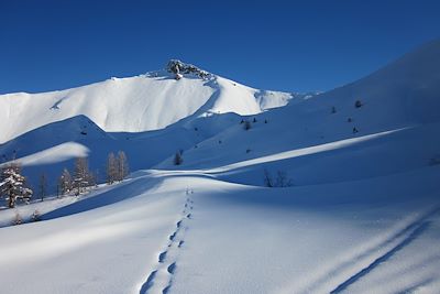 Col d’Izoard - Cervières  - Briançonnais - Queyras - Hautes Alpes - France