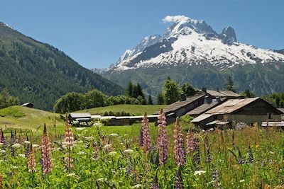 Tour du mont Blanc - Alpes du Nord - France