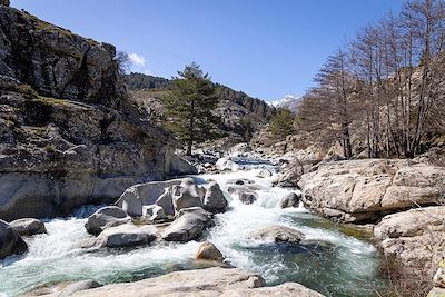 © Götz Göppert - Rivière - Bocca à Verghju (ou Col de Vergio) - Corse - France Rivière - Bocca à Verghju (ou Col de Vergio) - Corse - France