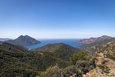 © Götz Göppert - Golfe de Porto - Corse - France Golfe de Porto - Corse - France