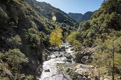 © Götz Göppert - Rivière vers Porto - Corse - France Rivière vers Porto - Corse - France