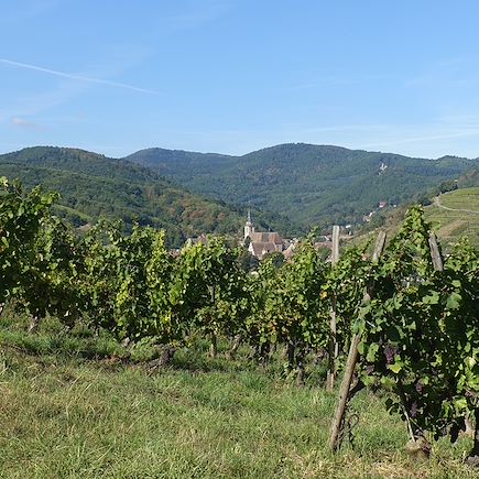 Randonnée France Autres régions