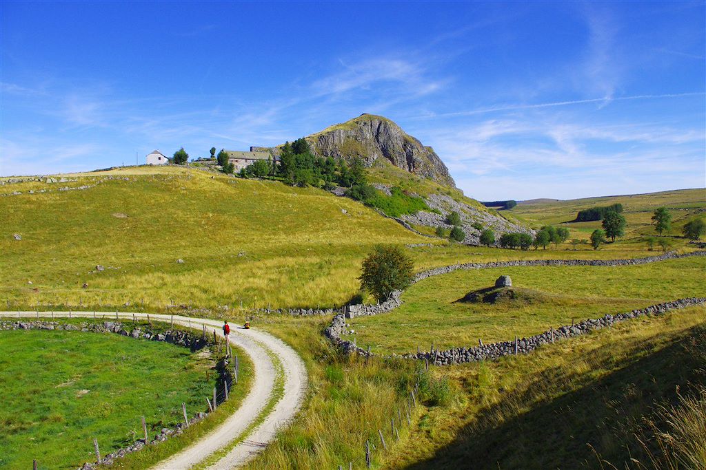 Image Randonnée Avec Un Âne - Rando Cantal - Volcans Du Cantal