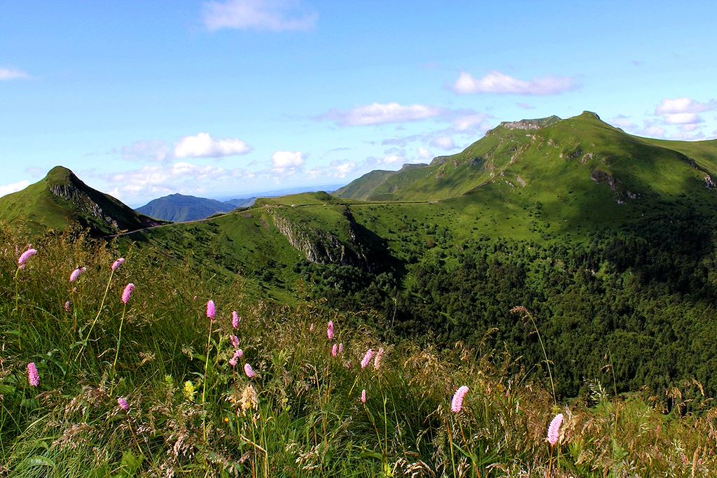 Image Randonnée Avec Un Âne - Rando Cantal - Volcans Du Cantal