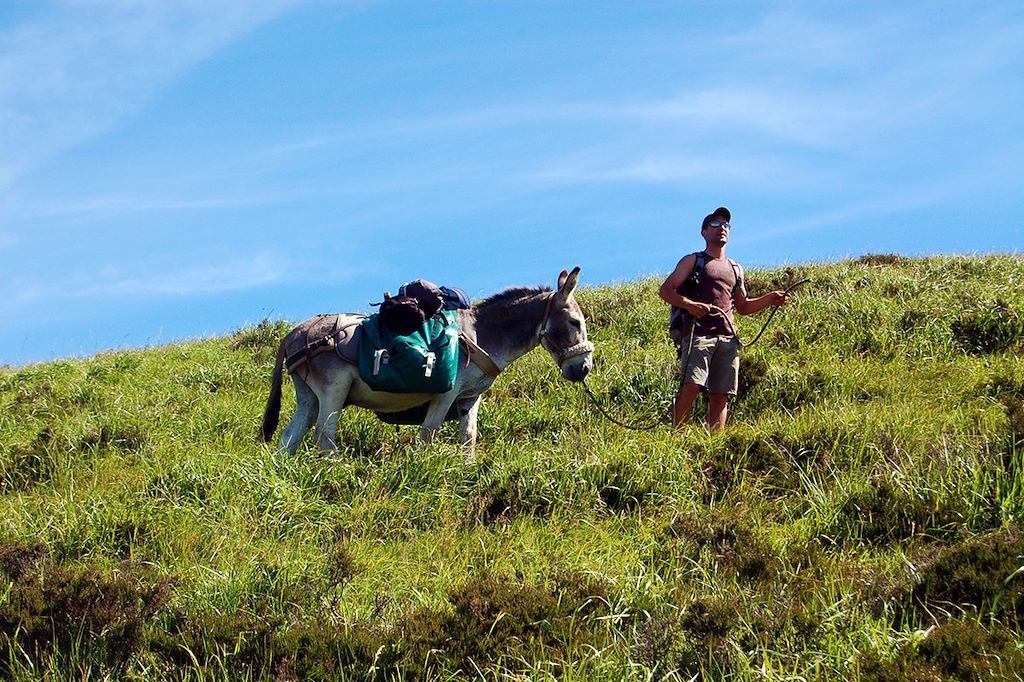 Image Randonnée Avec Un Âne - Rando Cantal - Volcans Du Cantal