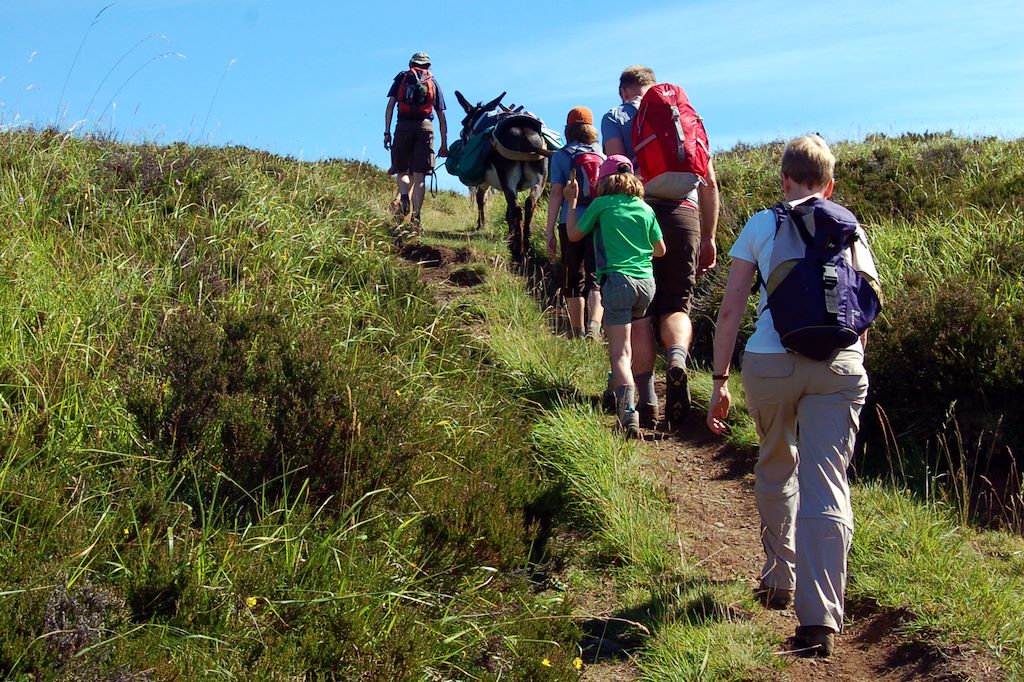Image Randonnée Avec Un Âne - Rando Cantal - Volcans Du Cantal