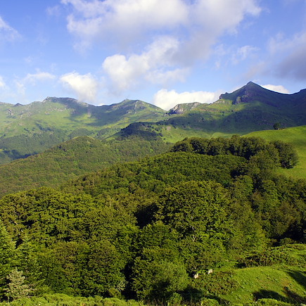 Randonnée avec âne France Massif Central