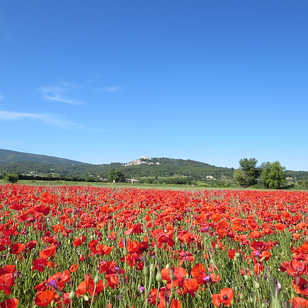 Micro-aventure France Provence - Côte d'Azur