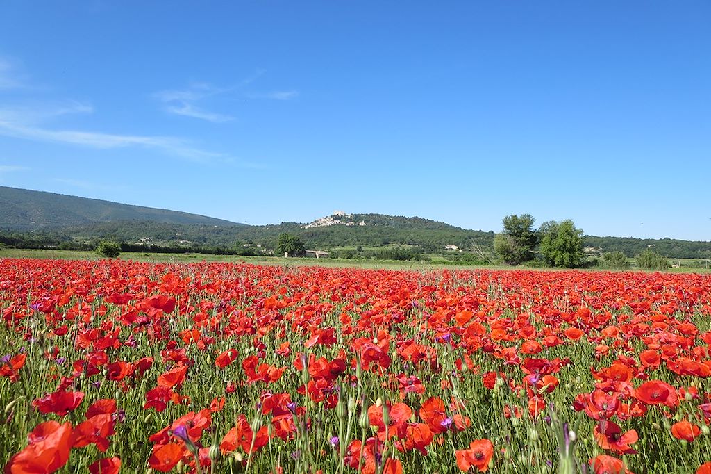 Image Le Colorado Provencal - Randonnée Luberon