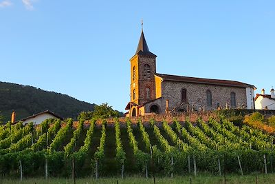 © Aurélie Michel - Vignoble d’Irouléguy et église d’Ispoure - Pays-Basque - France Vignoble d’Irouléguy et église d’Ispoure - Pays-Basque - France
