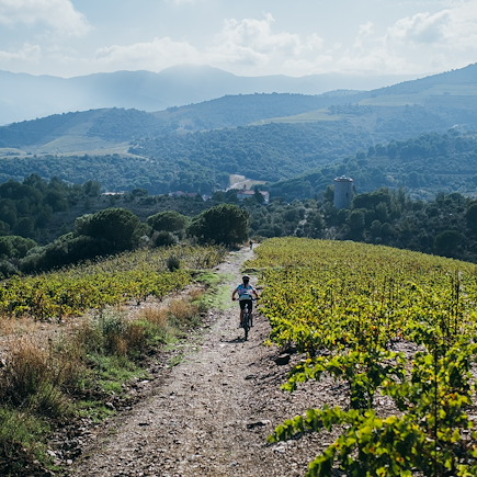 VTT / Gravel France Catalogne