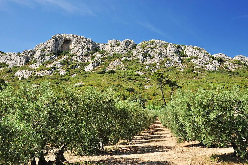 Image Les Alpilles à vélo - Provence à vélo - La Camargue à vélo