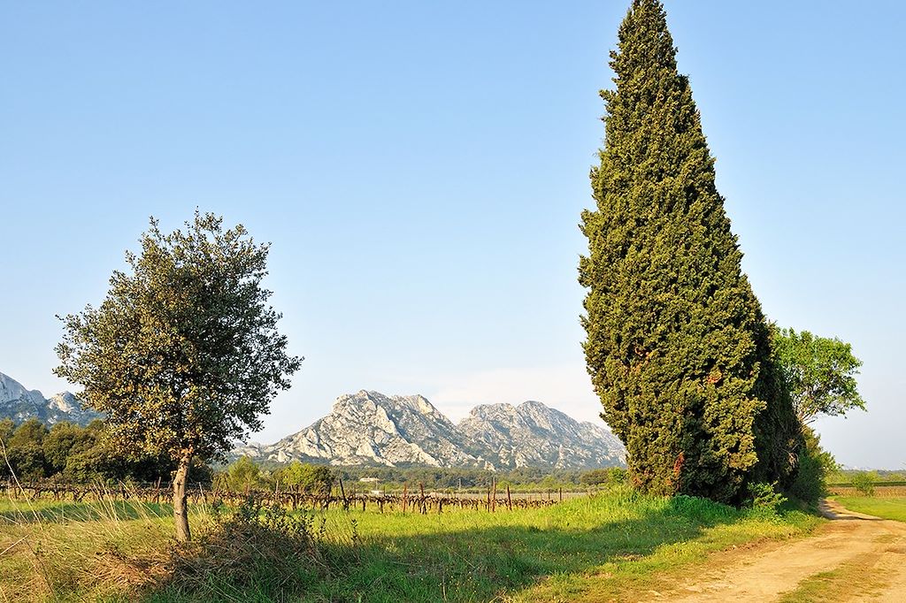 Image Les Alpilles à vélo - Provence à vélo - La Camargue à vélo