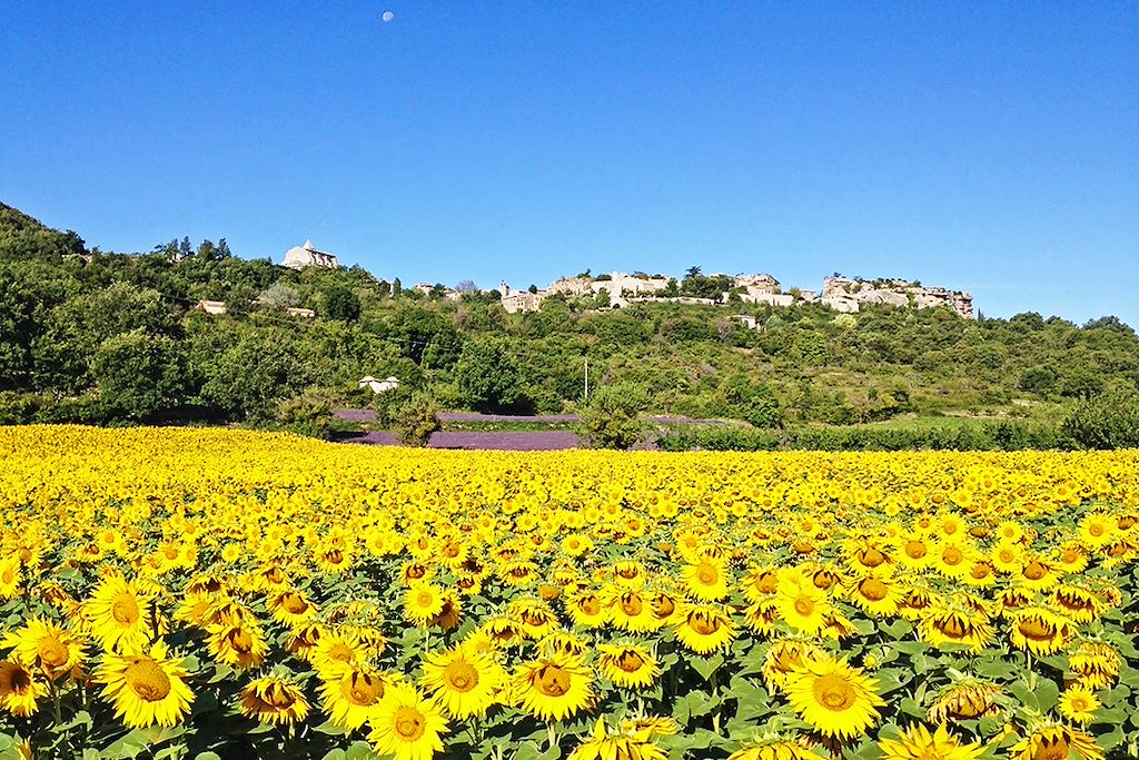 Image Les Alpilles à vélo - Provence à vélo - La Camargue à vélo