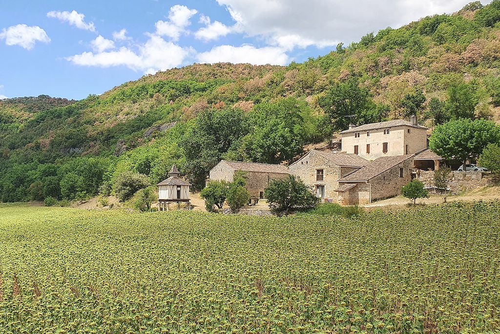 Image Randonnée Quercy - Decouverte Aveyron - Causses du Quercy