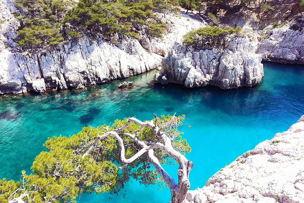 Image Randonnée Calanques - Randonnée Provence