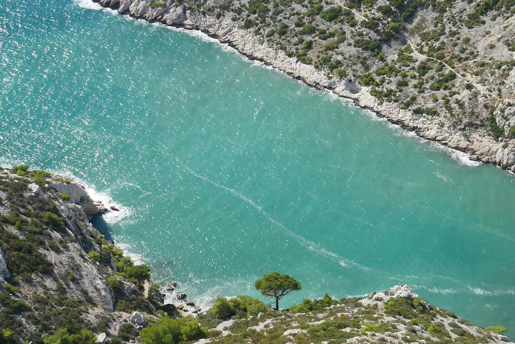 Image Randonnée Calanques - Randonnée Provence