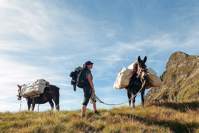 Randonnée avec âne : L'appel de la forêt en Hautes Pyrénées Voyage L'appel de la forêt en Hautes Pyrénées