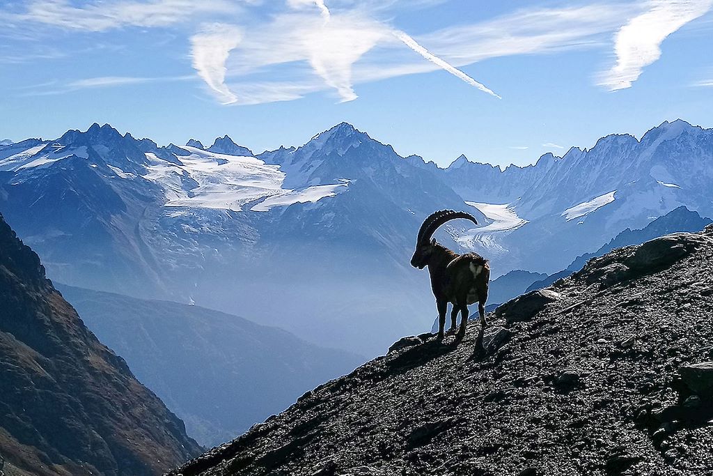 Image Randonnée Mont-Blanc
